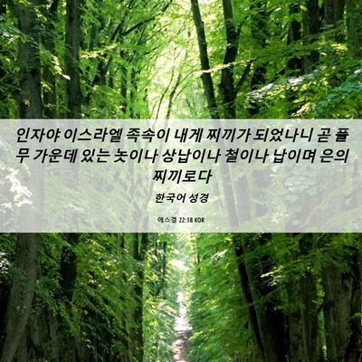 Picture 06 - 에스겔 22:18 KOR - 인자야 이스라엘 족속이 내게 찌끼가 - Bible Verse Picture