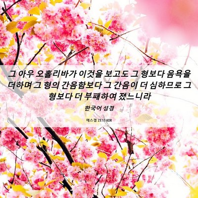 Picture 06 - 에스겔 23:11 KOR - 그 아우 오홀리바가 이것을 보고도 - Bible Verse Picture