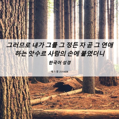 Picture 06 - 에스겔 23:9 KOR - 그러므로 내가 그를 그 정든 자 곧 그 - Bible Verse Picture