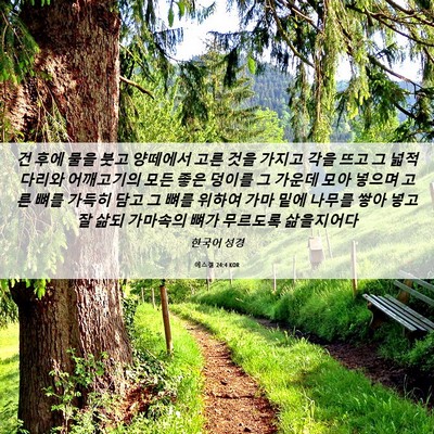 Picture 06 - 에스겔 24:4 KOR - 건 후에 물을 붓고 양떼에서 고른 - Bible Verse Picture