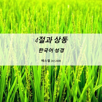 Picture 06 - 에스겔 24:5 KOR - 4절과 - Bible Verse Picture