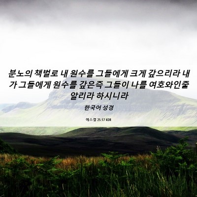 Picture 06 - 에스겔 25:17 KOR - 분노의 책벌로 내 원수를 그들에게 - Bible Verse Picture