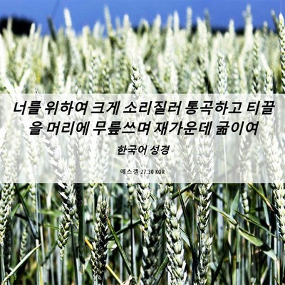 Picture 06 - 에스겔 27:30 KOR - 너를 위하여 크게 소리질러 통곡하고 - Bible Verse Picture