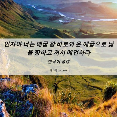 Picture 06 - 에스겔 29:2 KOR - 인자야 너는 애굽 왕 바로와 온 - Bible Verse Picture