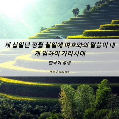 Picture 06 - 에스겔 30:20 KOR - 제 십일년 정월 칠일에 여호와의 - Bible Verse Picture