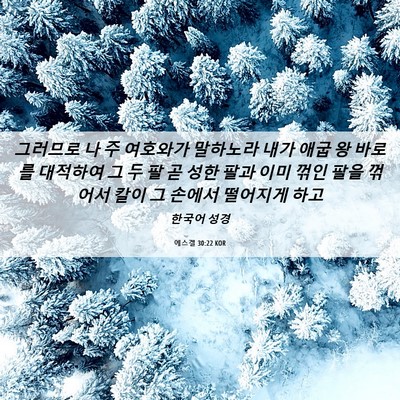 Picture 06 - 에스겔 30:22 KOR - 그러므로 나 주 여호와가 말하노라 - Bible Verse Picture