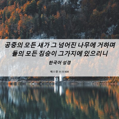 Picture 06 - 에스겔 31:13 KOR - 공중의 모든 새가 그 넘어진 나무에 - Bible Verse Picture