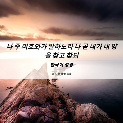 Picture 06 - 에스겔 34:11 KOR - 나 주 여호와가 말하노라 나 곧 내가 - Bible Verse Picture
