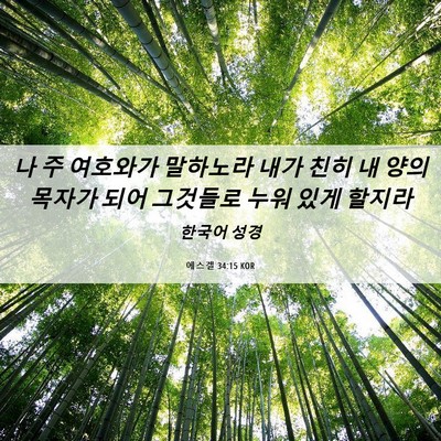 Picture 06 - 에스겔 34:15 KOR - 나 주 여호와가 말하노라 내가 친히 - Bible Verse Picture