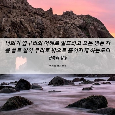 Picture 06 - 에스겔 34:21 KOR - 너희가 옆구리와 어깨로 밀뜨리고 - Bible Verse Picture