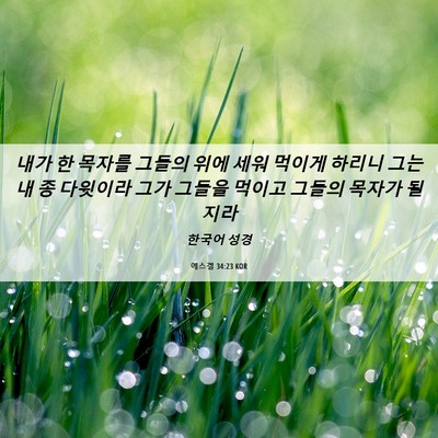 Picture 06 - 에스겔 34:23 KOR - 내가 한 목자를 그들의 위에 세워 - Bible Verse Picture
