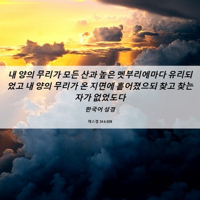 Picture 06 - 에스겔 34:6 KOR - 내 양의 무리가 모든 산과 높은 - Bible Verse Picture