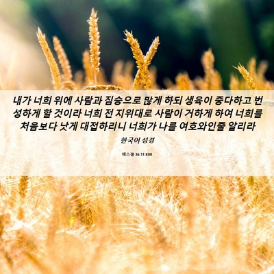 Picture 06 - 에스겔 36:11 KOR - 내가 너희 위에 사람과 짐승으로 - Bible Verse Picture