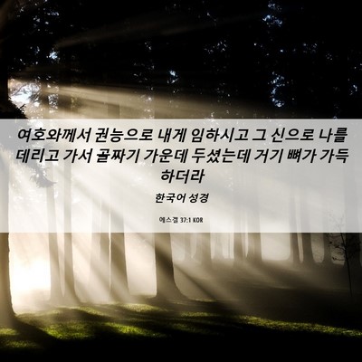 Picture 06 - 에스겔 37:1 KOR - 여호와께서 권능으로 내게 임하시고 - Bible Verse Picture