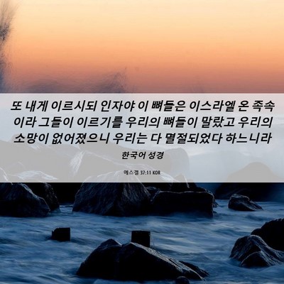 Picture 06 - 에스겔 37:11 KOR - 또 내게 이르시되 인자야 이 뼈들은 - Bible Verse Picture