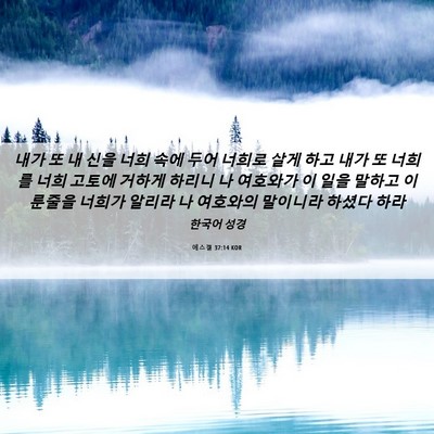 Picture 06 - 에스겔 37:14 KOR - 내가 또 내 신을 너희 속에 두어 - Bible Verse Picture