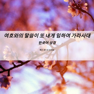 Picture 06 - 에스겔 37:15 KOR - 여호와의 말씀이 또 내게 임하여 - Bible Verse Picture