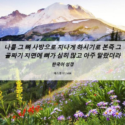 Picture 06 - 에스겔 37:2 KOR - 나를 그 뼈 사방으로 지나게 - Bible Verse Picture