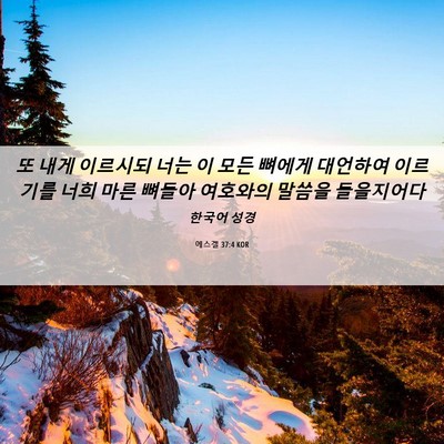 Picture 06 - 에스겔 37:4 KOR - 또 내게 이르시되 너는 이 모든 - Bible Verse Picture