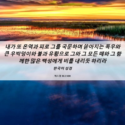 Picture 06 - 에스겔 38:22 KOR - 내가 또 온역과 피로 그를 국문하며 - Bible Verse Picture