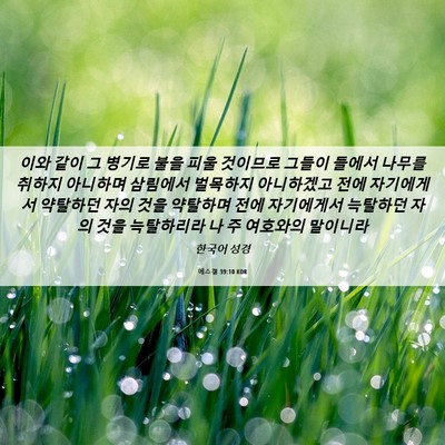 Picture 06 - 에스겔 39:10 KOR - 이와 같이 그 병기로 불을 피울 - Bible Verse Picture