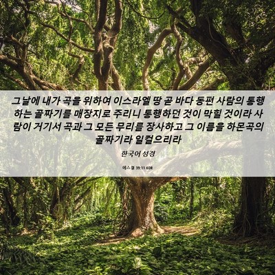 Picture 06 - 에스겔 39:11 KOR - 그날에 내가 곡을 위하여 이스라엘 - Bible Verse Picture