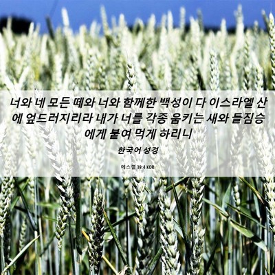 Picture 06 - 에스겔 39:4 KOR - 너와 네 모든 떼와 너와 함께한 - Bible Verse Picture