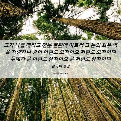 Picture 06 - 에스겔 40:48 KOR - 그가 나를 데리고 전문 현관에 - Bible Verse Picture