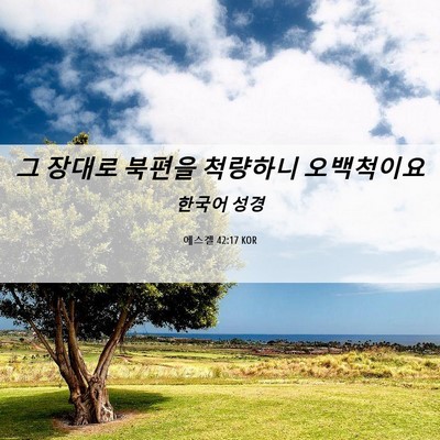 Picture 06 - 에스겔 42:17 KOR - 그 장대로 북편을 척량하니 - Bible Verse Picture