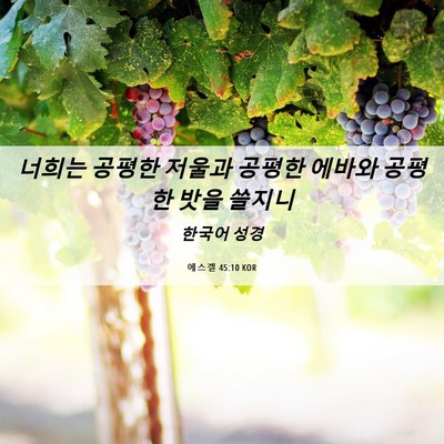 Picture 06 - 에스겔 45:10 KOR - 너희는 공평한 저울과 공평한 에바와 - Bible Verse Picture