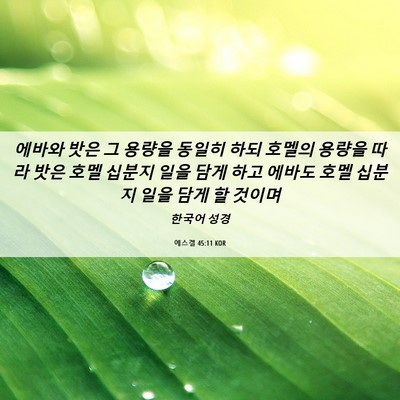 Picture 06 - 에스겔 45:11 KOR - 에바와 밧은 그 용량을 동일히 하되 - Bible Verse Picture