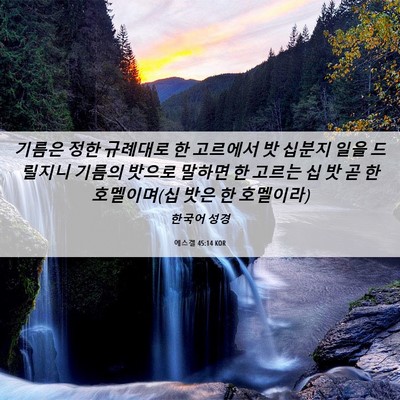 Picture 06 - 에스겔 45:14 KOR - 기름은 정한 규례대로 한 고르에서 - Bible Verse Picture