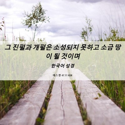 Picture 06 - 에스겔 47:11 KOR - 그 진펄과 개펄은 소성되지 못하고 - Bible Verse Picture