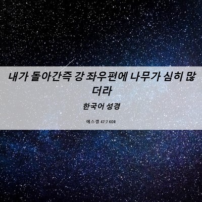 Picture 06 - 에스겔 47:7 KOR - 내가 돌아간즉 강 좌우편에 나무가 - Bible Verse Picture