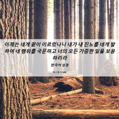Picture 06 - 에스겔 7:3 KOR - 이제는 네게 끝이 이르렀나니 내가 - Bible Verse Picture