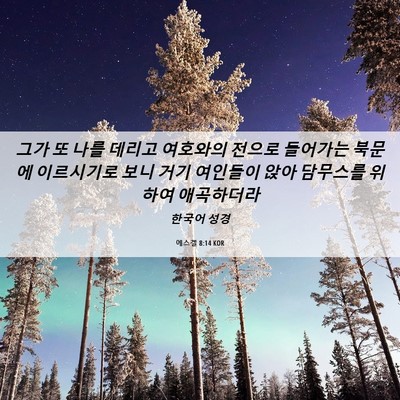 Picture 06 - 에스겔 8:14 KOR - 그가 또 나를 데리고 여호와의 - Bible Verse Picture