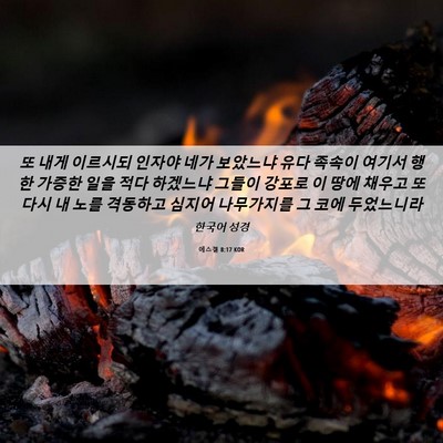 Picture 06 - 에스겔 8:17 KOR - 또 내게 이르시되 인자야 네가 - Bible Verse Picture