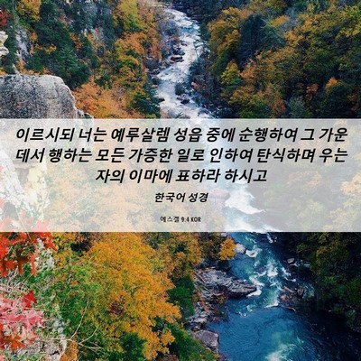 Picture 06 - 에스겔 9:4 KOR - 이르시되 너는 예루살렘 성읍 중에 - Bible Verse Picture