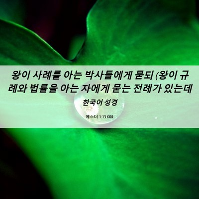 Picture 06 - 에스더 1:13 KOR - 왕이 사례를 아는 박사들에게 묻되 - Bible Verse Picture