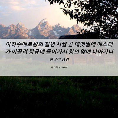 Picture 06 - 에스더 2:16 KOR - 아하수에로왕의 칠년 시월 곧 - Bible Verse Picture