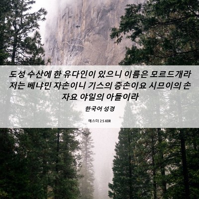 Picture 06 - 에스더 2:5 KOR - 도성 수산에 한 유다인이 있으니 - Bible Verse Picture