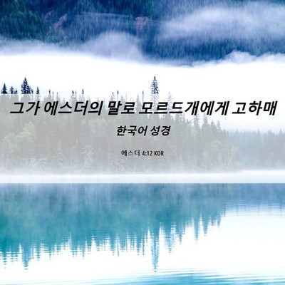 Picture 06 - 에스더 4:12 KOR - 그가 에스더의 말로 모르드개에게 - Bible Verse Picture