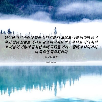 Picture 06 - 에스더 4:16 KOR - 당신은 가서 수산에 있는 유다인을 - Bible Verse Picture