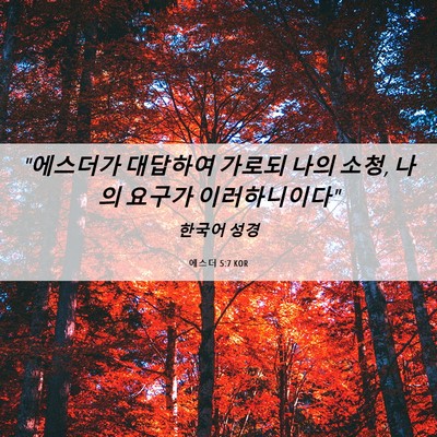 Picture 06 - 에스더 5:7 KOR - 