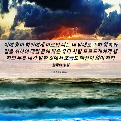 Picture 06 - 에스더 6:10 KOR - 이에 왕이 하만에게 이르되 너는 네 - Bible Verse Picture