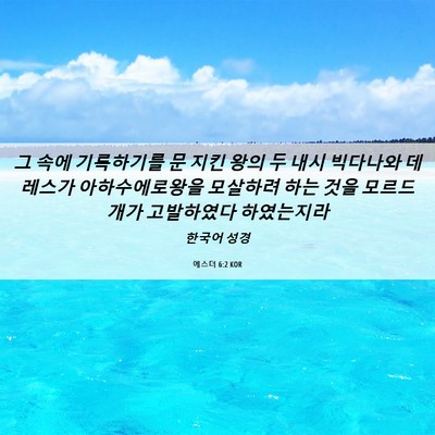 Picture 06 - 에스더 6:2 KOR - 그 속에 기록하기를 문 지킨 왕의 두 - Bible Verse Picture