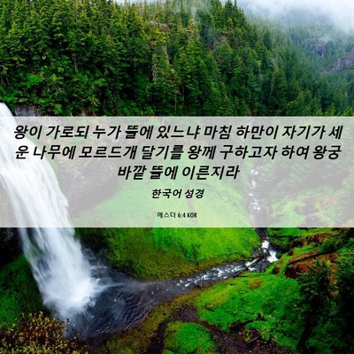 Picture 06 - 에스더 6:4 KOR - 왕이 가로되 누가 뜰에 있느냐 마침 - Bible Verse Picture