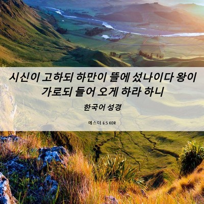 Picture 06 - 에스더 6:5 KOR - 시신이 고하되 하만이 뜰에 섰나이다 - Bible Verse Picture