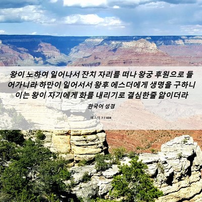 Picture 06 - 에스더 7:7 KOR - 왕이 노하여 일어나서 잔치 자리를 - Bible Verse Picture
