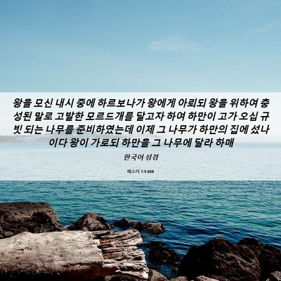 Picture 06 - 에스더 7:9 KOR - 왕을 모신 내시 중에 하르보나가 - Bible Verse Picture